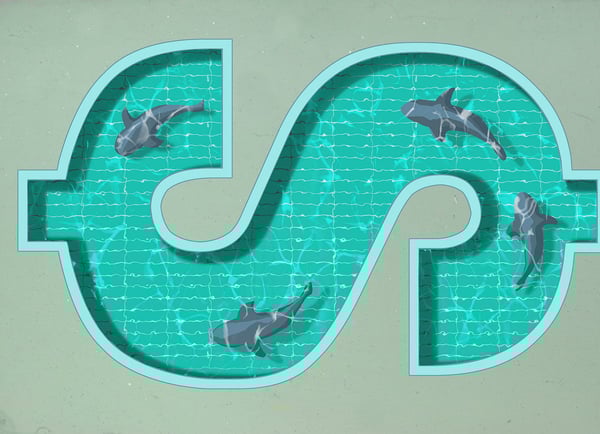 Dangers of Risk Pooling